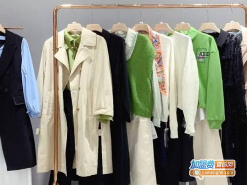 女装服饰代理加盟费多少钱 总投资15.86万元 加盟费查询网