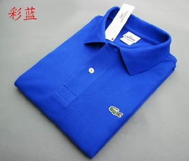 兄弟网盟余金莲2013新款精品鳄鱼polo男式t恤,兄弟网盟余金莲2013新款精品鳄鱼polo男式t恤生产厂家,兄弟网盟余金莲2013新款精品鳄鱼polo男式t恤价格